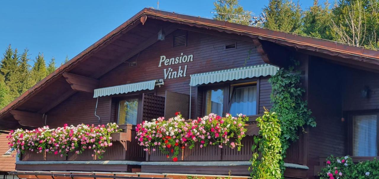 Pension Vinkl Harrachov Exteriör bild