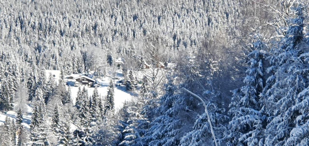 Pension Vinkl Harrachov Exteriör bild